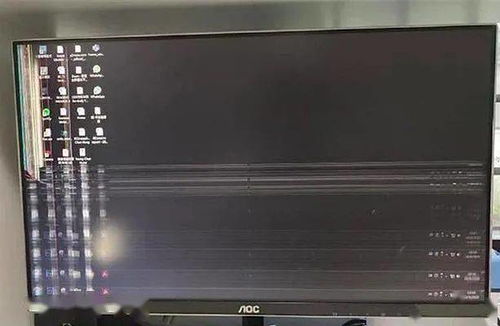 紙枷鎖的幽默懲戒，誰家的貓像你一樣